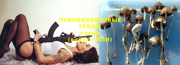 стаф Алексин