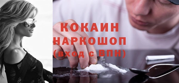 стаф Алексин